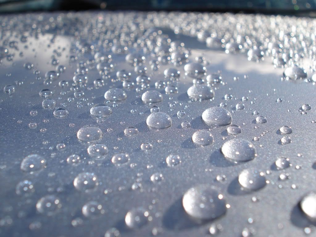 beading shots Detailing World Forum